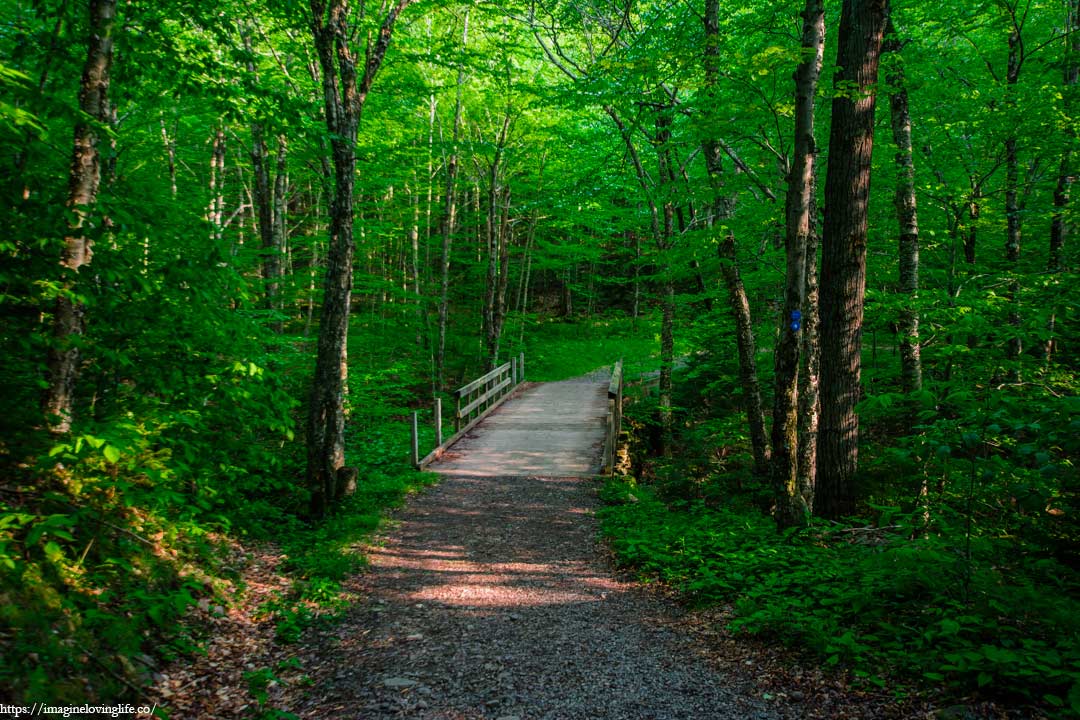 blue trail to parking lot 3